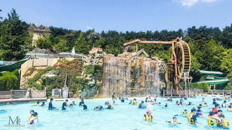 Công viên nước Caribbean Bay Công viên Everland Hàn Quốc