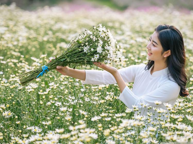 tháng 11 nên đi du lịch ở đâu Hà Nội mùa cúc họa mi nở rộ