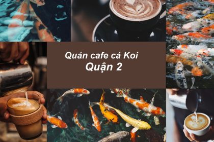 Quán cafe cá Koi quận 2, rộng rải, thoáng mát, nhiều cá.